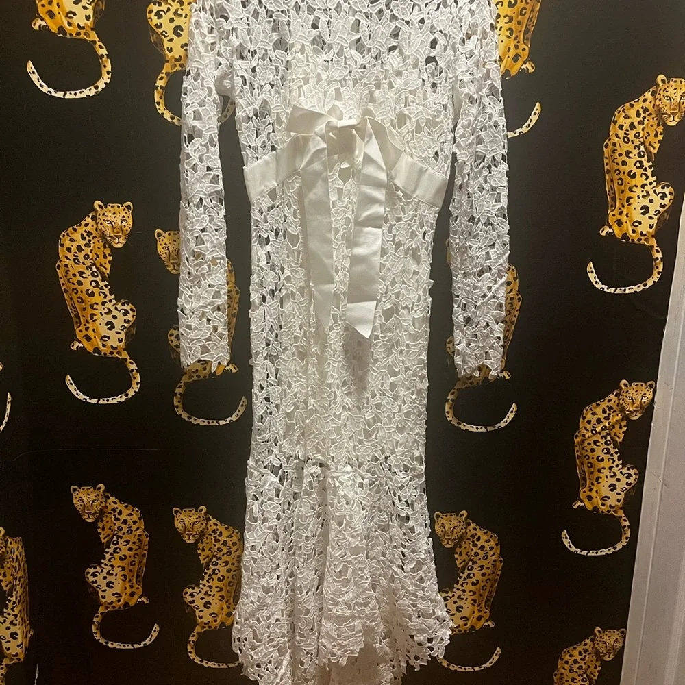 Chic Long Sleeve White Lace Dress - Picture 5 of 6